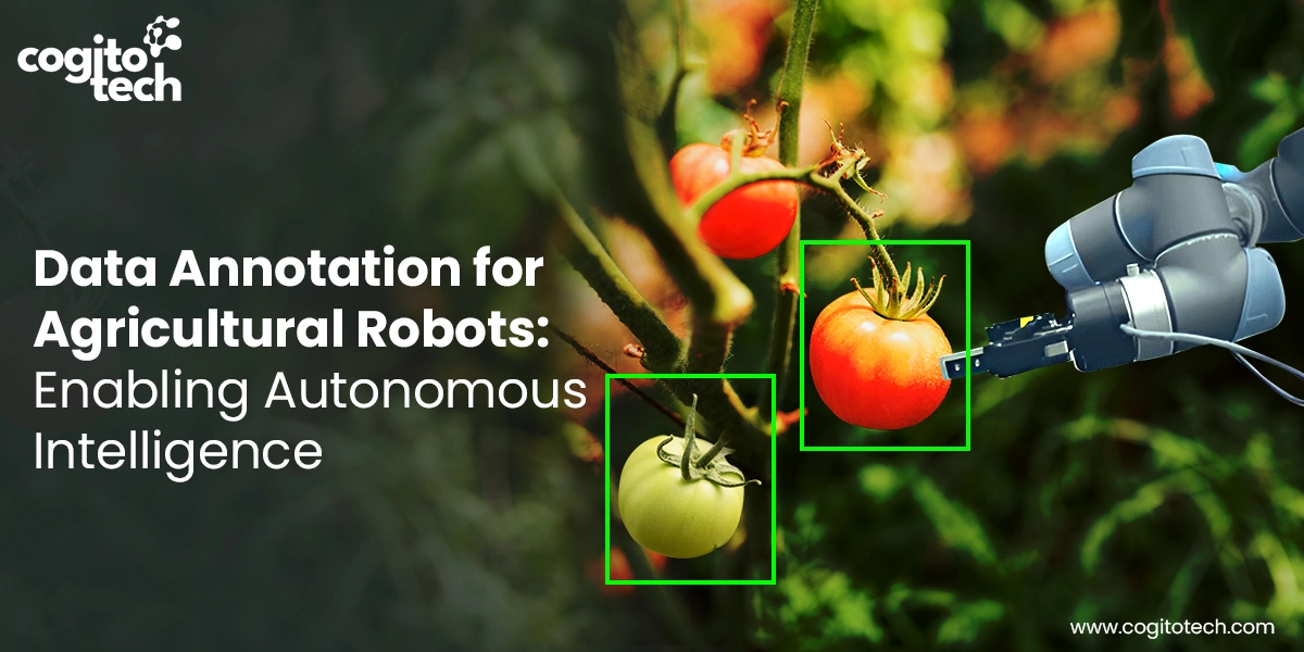 AI & ML மாடல்களுக்கான விவசாய ரோபாட்டிக்ஸ் தரவு சிறுகுறிப்பு | Think Daily 9 data annotation for agricultural robots.webp